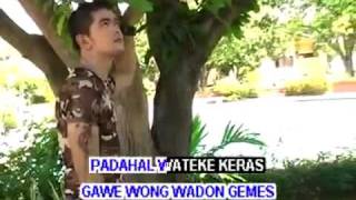 Download lagu lanang kobra (diana sastra) mp3 Download lagu lanang kobra (diana sastra) mp3