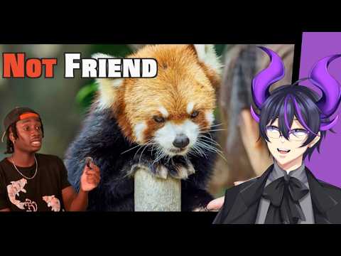 "The Red Panda Problem Not Being Talked About Enough" | Kip Reacts to Casual Geographic
