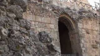 preview picture of video 'Ajloun Castle'