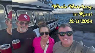 Whale Watching MAUI: Departure from Maalaea Small Boat Harbor — 12/11/2024