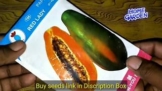 Papaya seeds || Amazon से खरीदिये पपीते की सबसे अच्छी वैरायटी के seeds Home/Garden