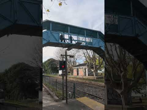 Tren de la Costa parte de la estación Anchorena, Martínez, Buenos Aires, Argentina