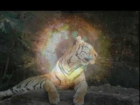 Équilibre des Chakras & Kundalini - 33 Hz - 174 Hz - 417 Hz - 741 Hz - 787 Hz et celles des chakras