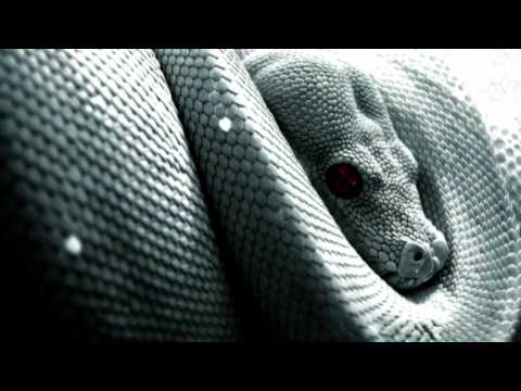 X-Sector - Heart Of India (Loquai Remix)