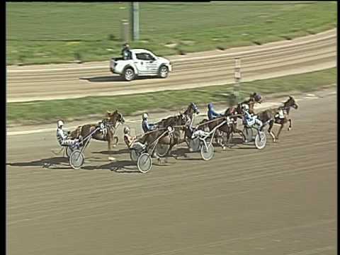 Trotto 31/03/2017 - 3ª corsa