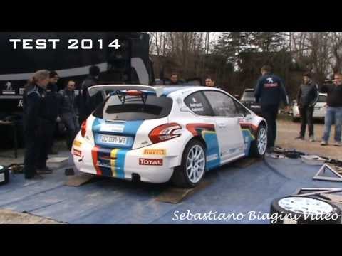 Test Pre-Ciocco 2014 - Paolo Andreucci - Peugeot 208 R5 - Day 1