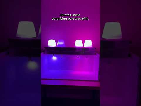 Video van TP-Link Tapo L535E - Wit en Gekleurd Licht - E27