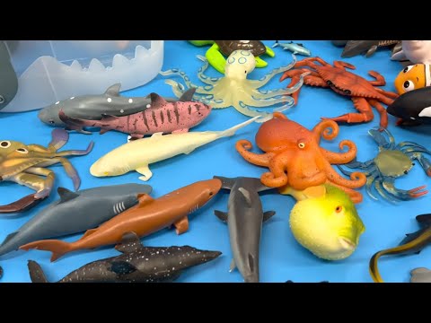 SHARK UNBOXING! 🦈 Open the Giant Shark Head for Sea Animal Toys! | Buzz Saw & Hammerhead Reveal!