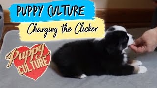 Charging the Clicker