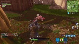 【Fortnite】クロス棒