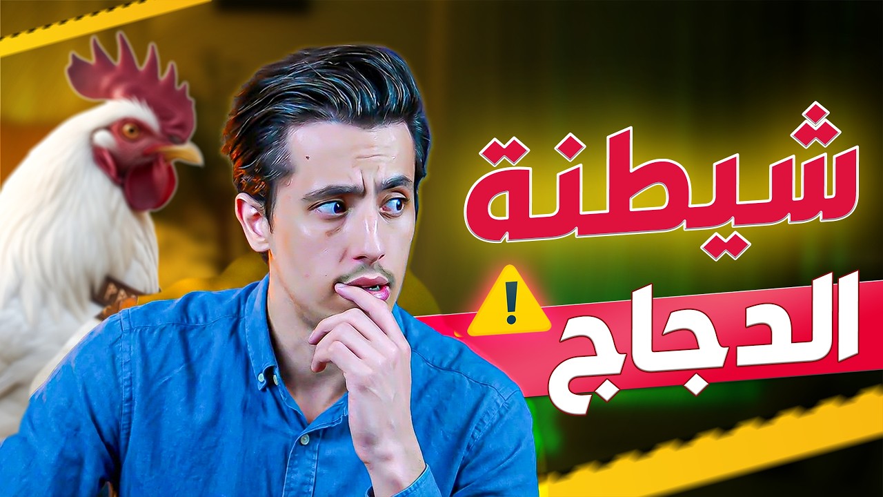 ما وراء كواليس دجاج الطيبات