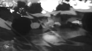 Puressence - Don&#39;t Know Any Better