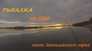 Рыбалка в октябре на оби спиннинг