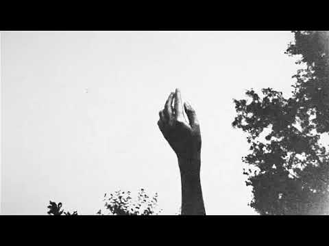 Delaney Bailey - Wither (Official Visualizer)