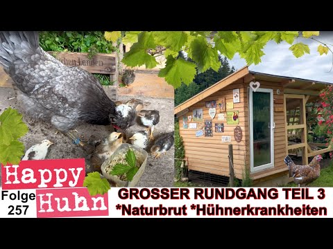 , title : 'Hühner-Tunnel, Hühner-Krankheiten, Schlachten, Naturbrut, Exchequer - Rundgang Teil3 HAPPY HUHN E257'
