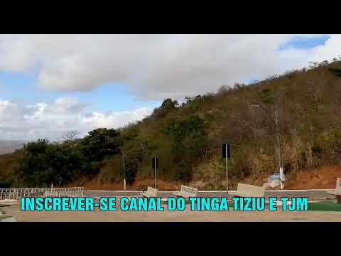 PALM TREE OF THE INDIANS. AL 15.12.2019