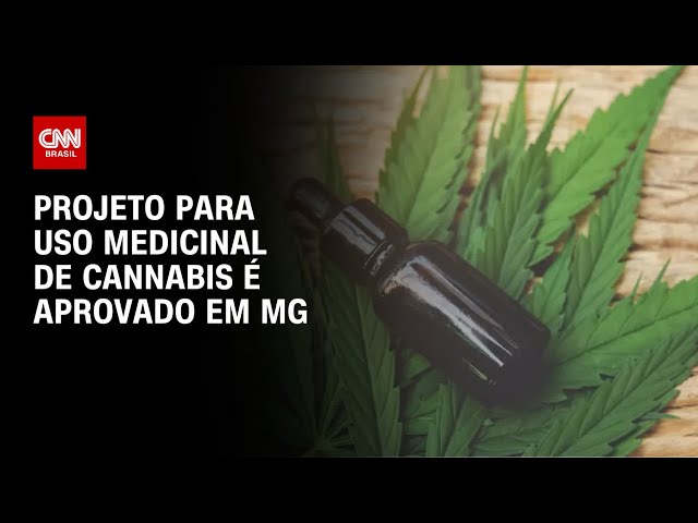 Projeto que garante uso medicinal de cannabis em MG é aprovado em 1º turno | BASTIDORES CNN