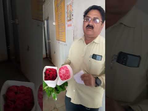 sai. Roses. Farmer. Chandrakant kalekar. ,has given information coldstore. for Rose Flowers ,,!