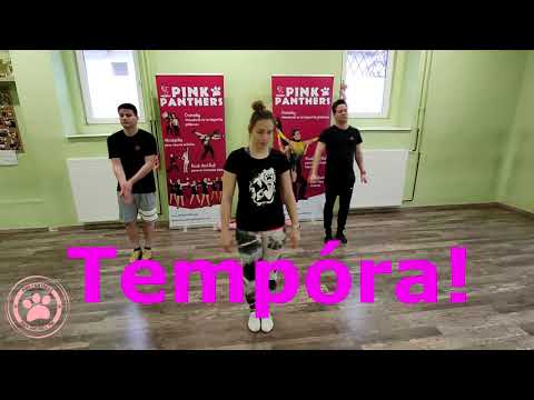 Pink Panthers TSE - 13-14. nyolcas Országos Rocky kihívás koreo