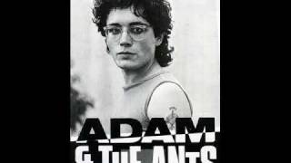 Adam and the Ants - Catch a Falling Star