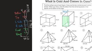 Surface Area Pizzazz D-65