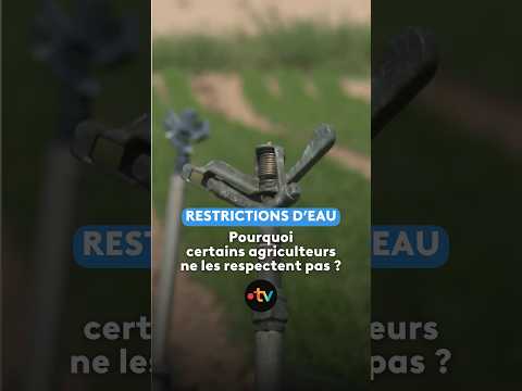 Sécheresse : certains agriculteurs enfreignent les restrictions d'eau #agriculture #eau