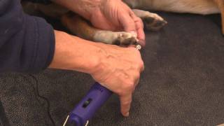 Easy Clip Nail Grinder