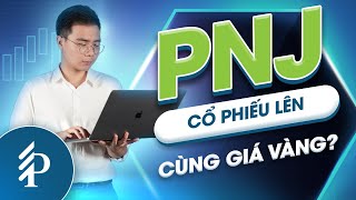 Cơ hội đầu tư cổ phiếu PNJ khi giá vàng cao? Đánh giá KQKD mới nhất của PNJ 2023