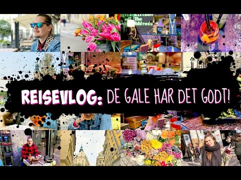 REISEVLOG: DE GALE HAR DET GODT!