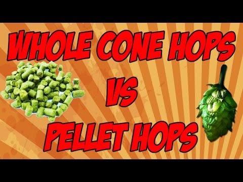 download lagu mp3 mp4 Hop Cones Vs Pellets, download lagu Hop Cones Vs Pellets gratis, unduh video klip Hop Cones Vs Pellets