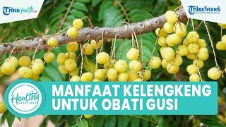 Kaya akan Vitamin C! Konsumsi Buah Kelengkeng Bagus untuk Kesehatan Tubuh: Obati Gusi