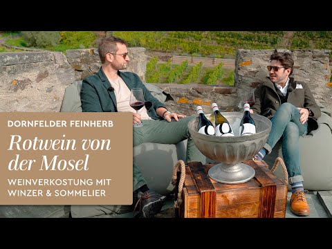 Dornfelder - Rotwein von der Mosel. Feinherb mit leichter Restsüße. Weinbau im Moseltal. Weinprobe
