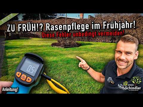 Getting your lawn ready after winter: When to start & what to absolutely avoid!