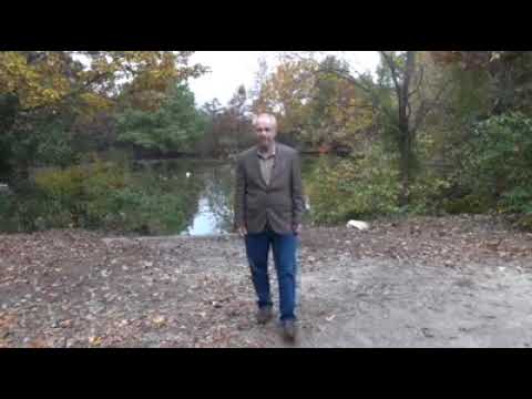 Perseveranza nella preghiera 🛐