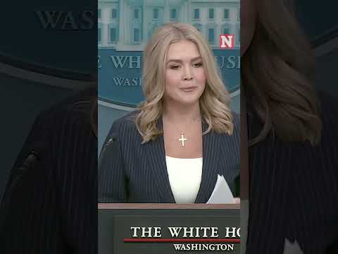 Leavitt Defends Barring AP From Presser Over 'Gulf Of America' Clash