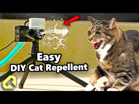 How to make a Cat Repellent for Under $15 in Parts!