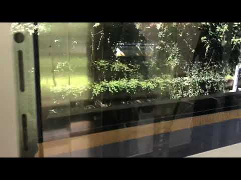 **Rare ride to Service level** Dover Impulse hydraulic elevator at Commercial Broadway Station.