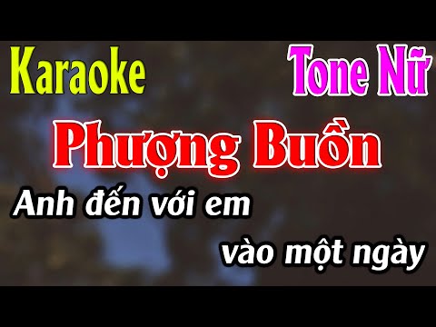 Phượng Buồn Karaoke Tone Nữ Karaoke Lâm Organ - Beat Mới