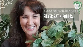 Silver Satin Pothos | Plant Care Guide