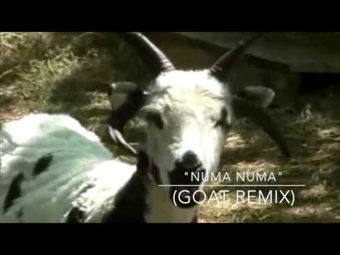 Numa Numa (Goat Remix)
