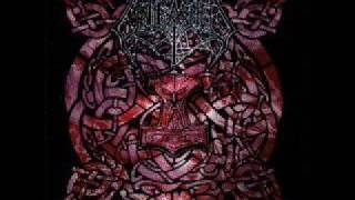 Unleashed - Hail the new Age