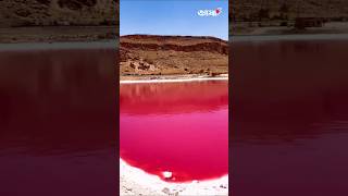 Download lagu The colorful mysteries and animals of Pink Lake! #PinkLake #MaharluLake #IranMystery mp3 Download lagu The colorful mysteries and animals of Pink Lake! #PinkLake #MaharluLake #IranMystery mp3