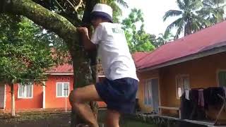 Download lagu Story Wa Lucu Kekinian Buat Mantan Video Kocak Cocok buat Status Wa #IjinReploadBangEditor mp3