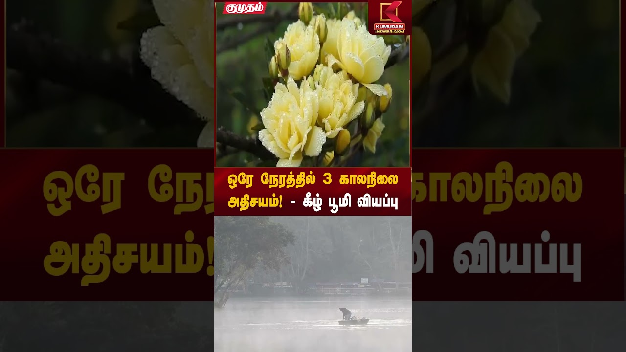 Three Seasons at Once | ஒரே நேரத்தில் 3 காலநிலை அதிசயம்! - கீழ் பூமி வியப்பு | Kumudam News