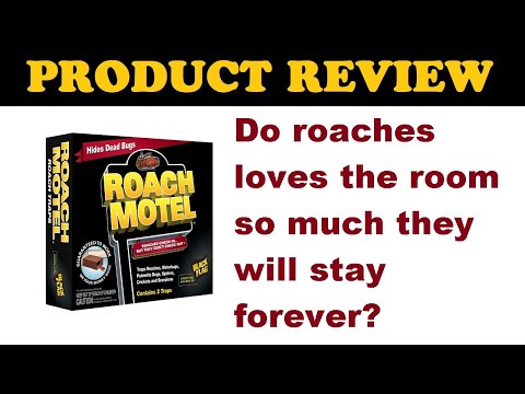 Product Review: Combat Roach Motel