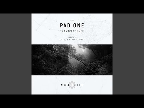 Transcendence (Sapienta Remix)