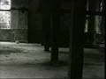 Sin Alley - Detroit 442 