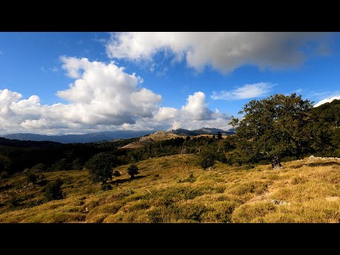 200 Seconds of GR20 / 4K