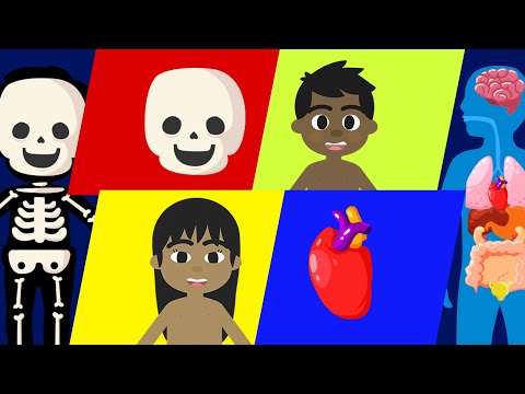 Body Parts for Kids Video