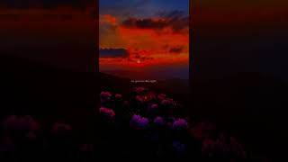 Download lagu Eenie Meenie - Justin Bieber | lyrics | aesthetic | Whatsapp Status | slowed | speed up | audio mp3